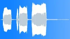 Hunting Horn Call CallingSound Effect