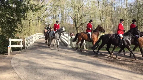 Hunting party in forest Stock Footage 63265311