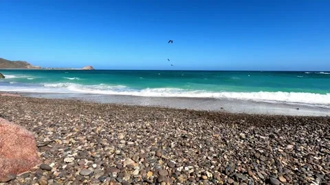 Hunting pelicans Stock Footage 274664784