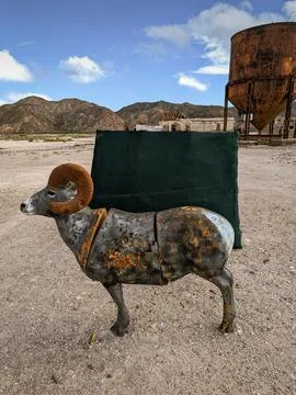 Hunting Practice. Stock Photos