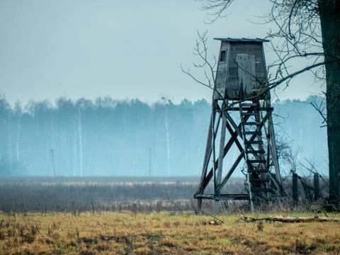 A hunting pulpit Photos