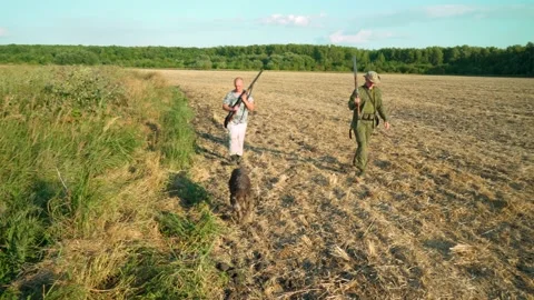 Hunting quails and partridges with a friendly dog Video stock 138359366