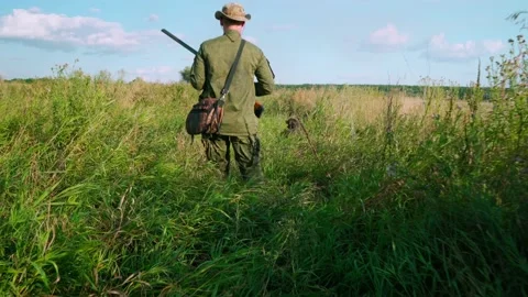 Hunting quails and partridges with a friendly dog Video stock 138361663