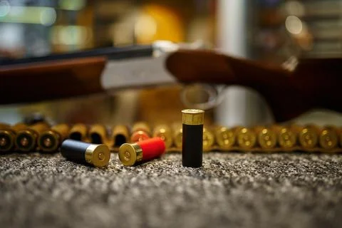 Hunting rifle, bandolier and cartridges, gun store Stock Photos