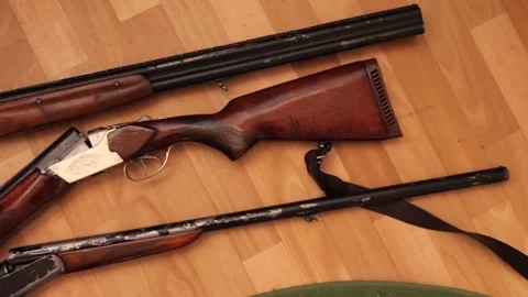 Hunting rifles Stock Footage 152903018