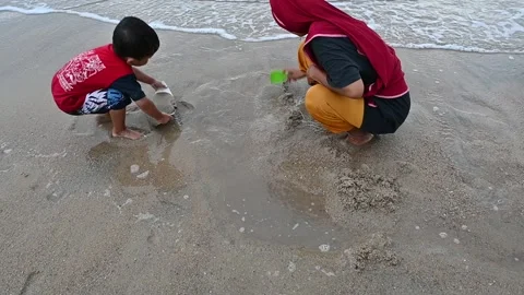 Hunting for sand shells Stock Footage 224043097