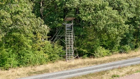Hunting stand at the forest‘s edge Stock Footage 283381352