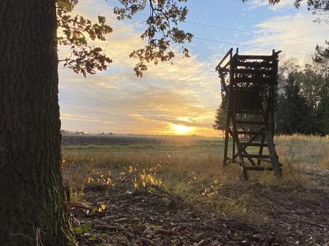 Hunting stand while sunset time Stock Photos
