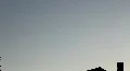 Hunting swallows in cloudless summer sky HD Footage