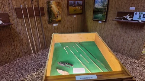 Hunting tools and cultural artifacts on display at Ópusztaszer Heritage Park in Stock Footage 328623561