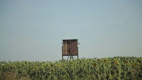 Hunting tower Stock Footage 77972502