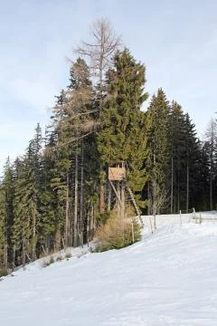 Hunting tower Foto stock