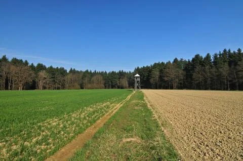 Hunting tower Stock Photos