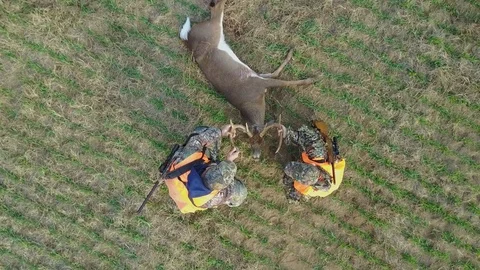 Hunting Traditions 스톡 동영상 82803875