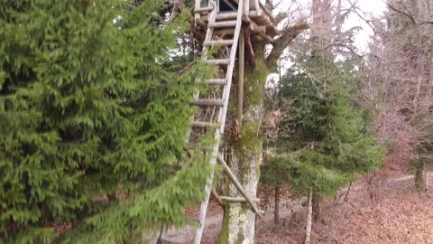 Hunting treestand Stock Footage 145286044
