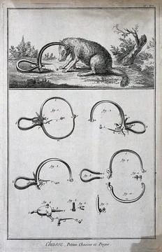 Hunting: a wolf, with its head caught in a trap (above), and details of the.. Stock Illustration