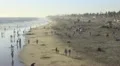 Huntington Beachscape Tilt 4K 4k or 4k+ Resolution