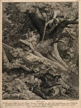 A huntsman sitting on a tree is about to shoot a lynx chasing a wild boar. .. Stock Illustration