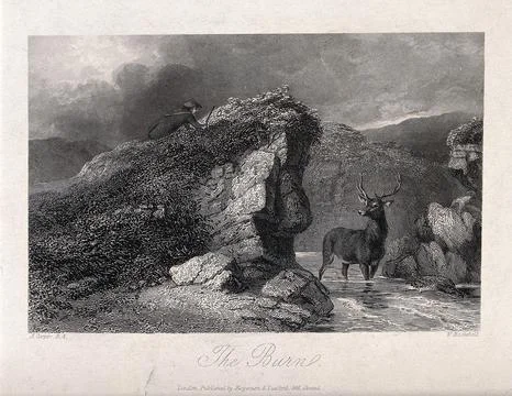 A huntsman stalking an unsuspecting stag. Etching by W. Backshell after A. .. Stock Illustration