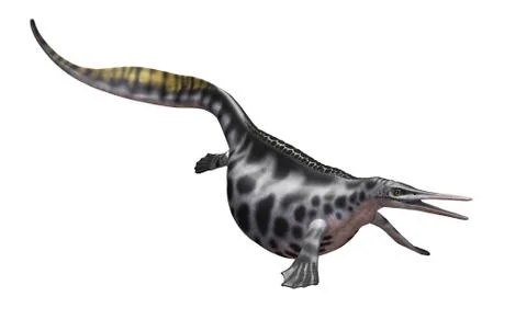 Hupehsuchus on White Stock Illustration