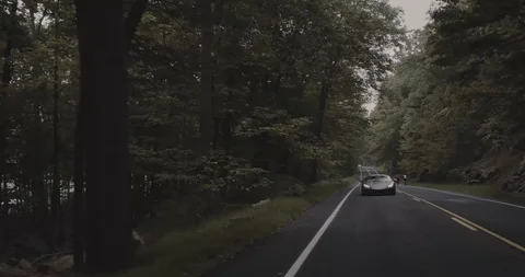 Huracan driving through forest- Stock Footage 105122078