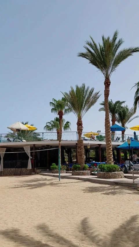 Hurghada, Egypt - May 17 2026: a sunny day at a luxury beach Stock Footage 336243023