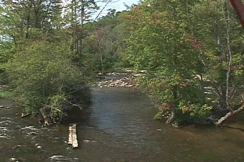 Huron River watershed Video stock 66584