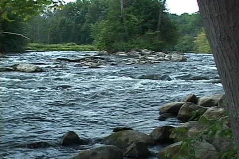 Huron River watershed Stock Footage 88909