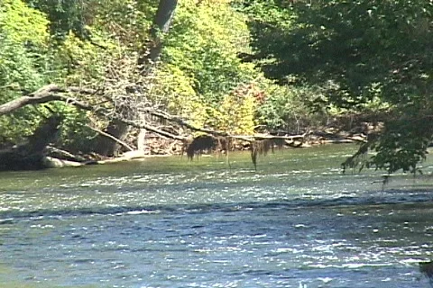 Huron River watershed Stock Footage 117654