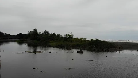 Huron in slough Stock Footage 127133235