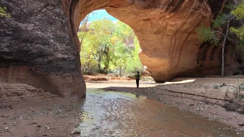 Hurrah under Arch Video stock 97757636