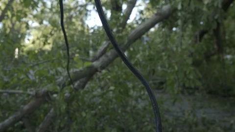 Hurrican Damage Stock Footage 115806716