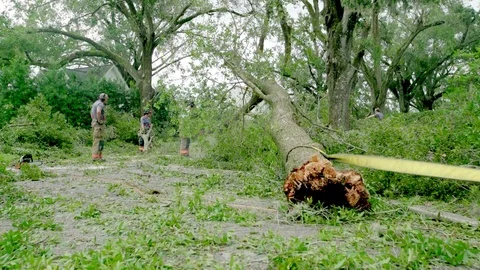 Hurrican Irma aftermath with firefighters clearing large tree from the street. Stock Footage 80358264