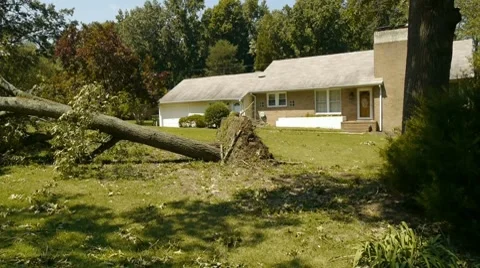 Hurricane Aftermath - Man using chainsaw to cut tree off of road 動画素材 8665232