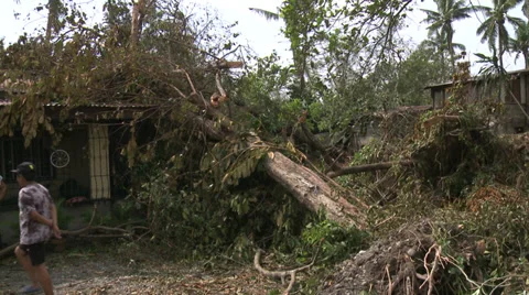 Hurricane Aftermath Tree Fallen On House Stock Footage 32078756