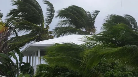 Hurricane approaching wind blows through coastal resort Stock Footage 73034649