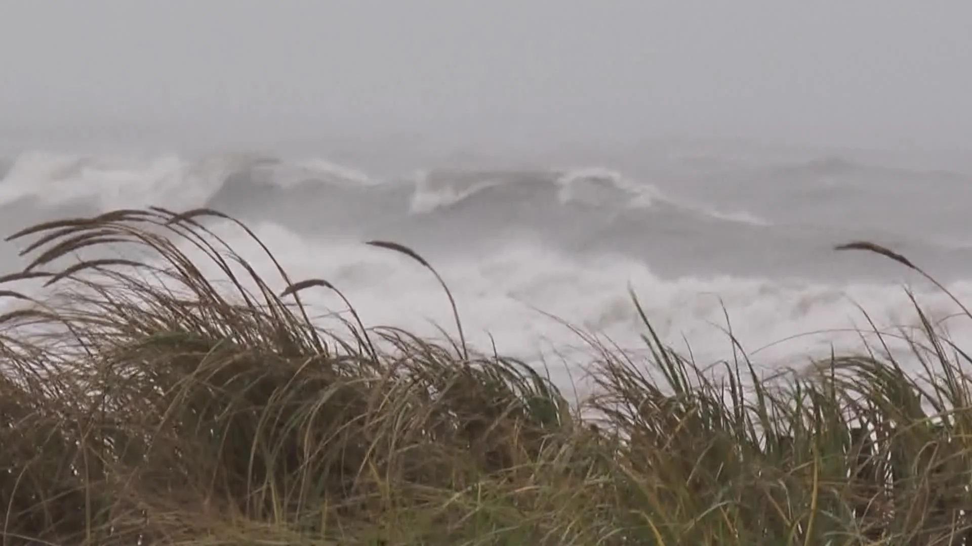 Ветер звук. Фильм звук ветра. Wind Sounds in tetxs. Hurricane Sound. Wind Sounds in writing.