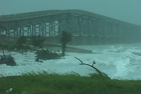 Hurricane comes ashore Stock Footage 12692480