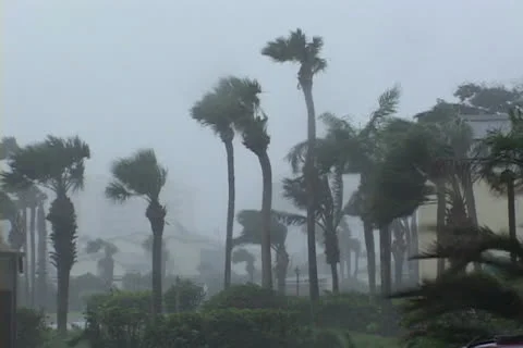 Hurricane comes ashore Stock Footage 24523886