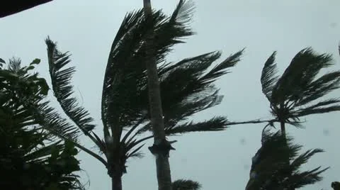 Hurricane Conditions Stock Footage 12668143