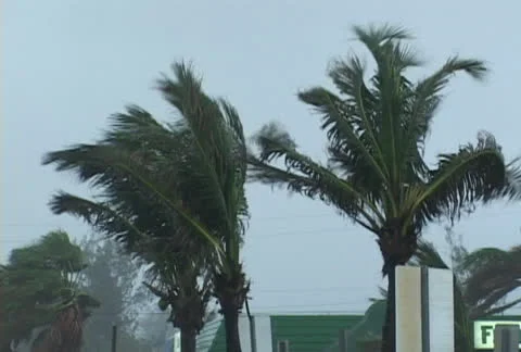 Hurricane conditions Stock Footage 24176125