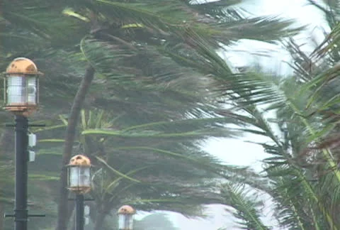 Hurricane conditions Stock Footage 24176565