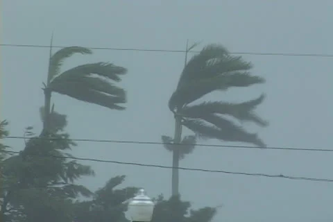 Hurricane Conditions Stock Footage 26946539