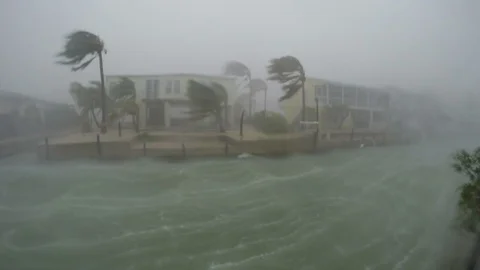 Hurricane conditions Video stock 97296059