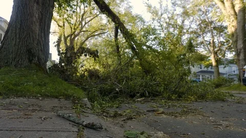 Hurricane Damage Stock Footage 115805521
