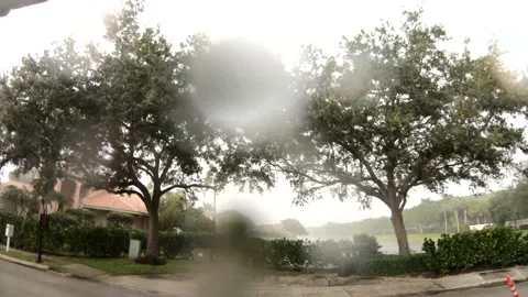 Hurricane Dorian Pelting Trees Raindrops Hitting Lens Stock Footage 200890827