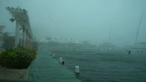 Hurricane Dorian wind blows across marina Stock Footage 118663395