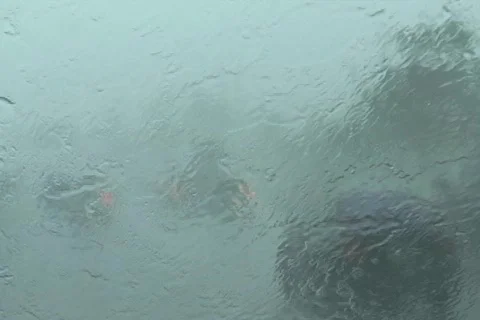 Hurricane Earl - driving through wind and rain w audio Stock Footage 831084