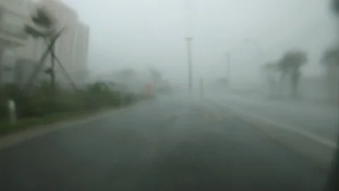 Hurricane Extreme Howling Wind Video stock 92686443