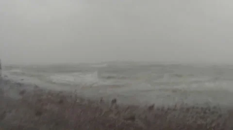 Hurricane Extreme Wind coming ashore 库存影片 33871332